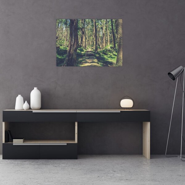 Tablou cu drum între copaci (70x50 cm)
