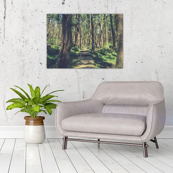 Tablou cu drum între copaci (70x50 cm)