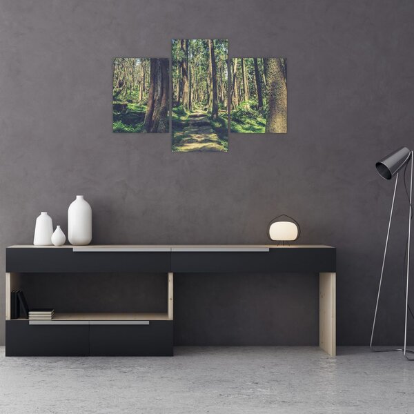 Tablou cu drum între copaci (90x60 cm)