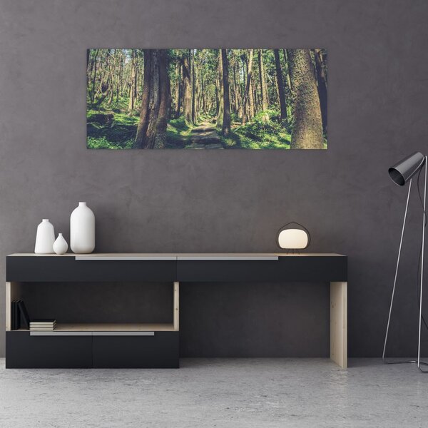 Tablou cu drum între copaci (120x50 cm)