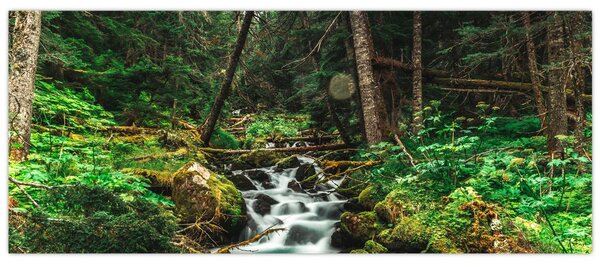 Tablou cu pârău în pădure (120x50 cm)