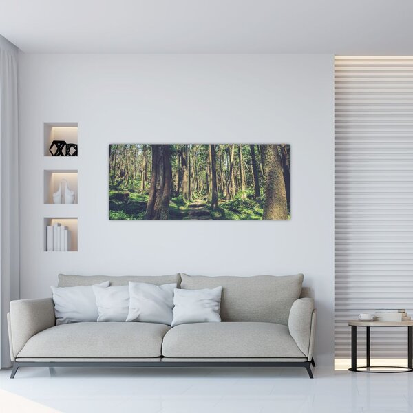 Tablou cu drum între copaci (120x50 cm)
