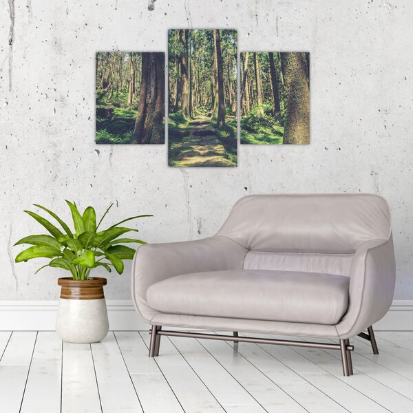 Tablou cu drum între copaci (90x60 cm)