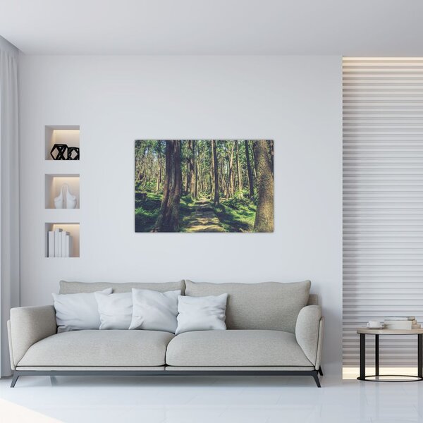 Tablou cu drum între copaci (90x60 cm)