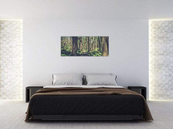 Tablou cu drum între copaci (120x50 cm)