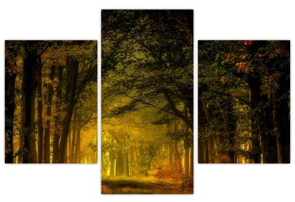 Tablou cu pădure (90x60 cm)