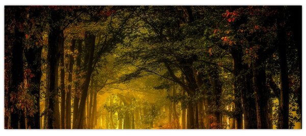 Tablou cu pădure (120x50 cm)