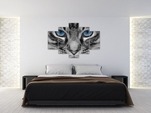 Tablou cu pisica (150x105 cm)