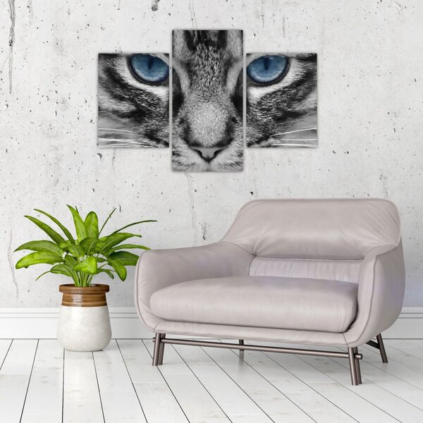 Tablou cu pisica (90x60 cm)