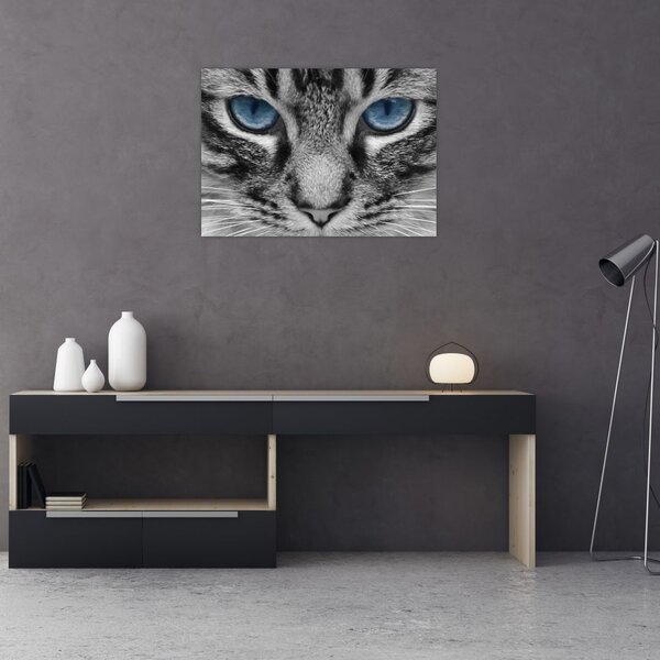 Tablou cu pisica (70x50 cm)
