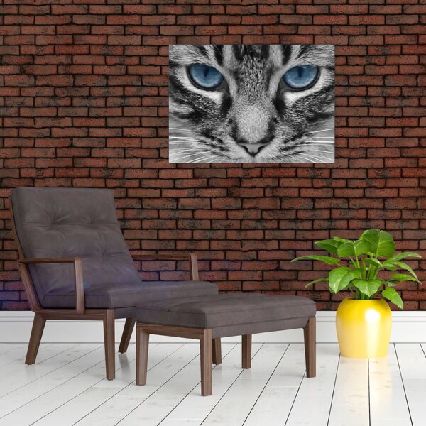 Tablou cu pisica (70x50 cm)