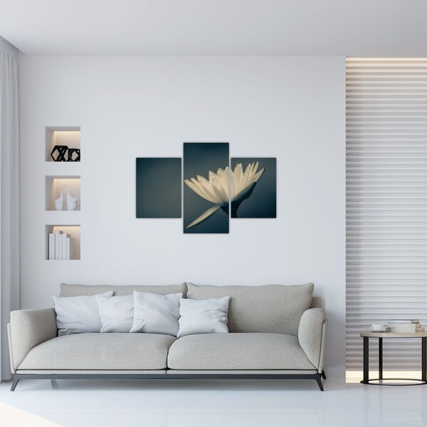 Tablou cu flori (90x60 cm)