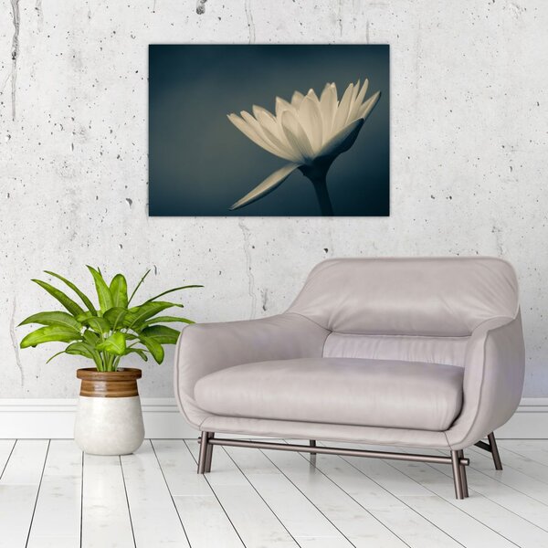 Tablou cu flori (70x50 cm)