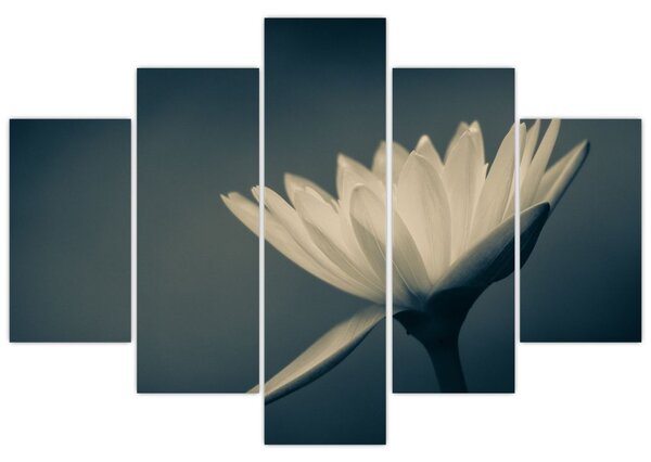 Tablou cu flori (150x105 cm)