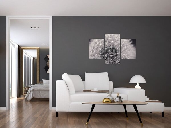 Tablou cu păpădie (90x60 cm)