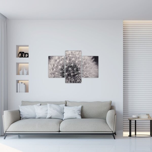 Tablou cu păpădie (90x60 cm)