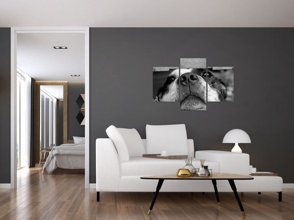 Tablou cu câine (90x60 cm)