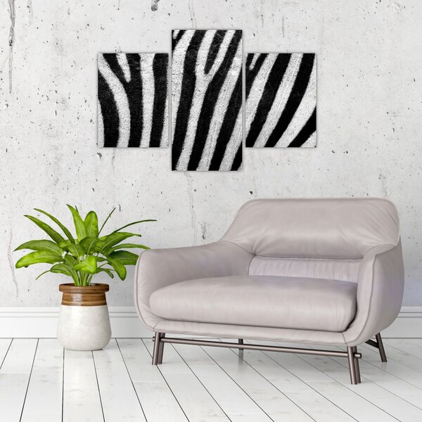 Tablou cu piele de zebră (90x60 cm)