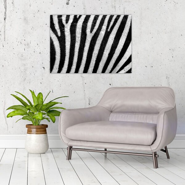 Tablou cu piele de zebră (70x50 cm)