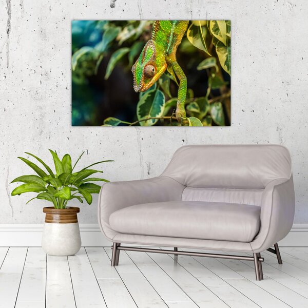 Tablou cu cameleon (90x60 cm)