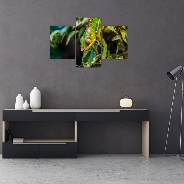 Tablou cu cameleon (90x60 cm)