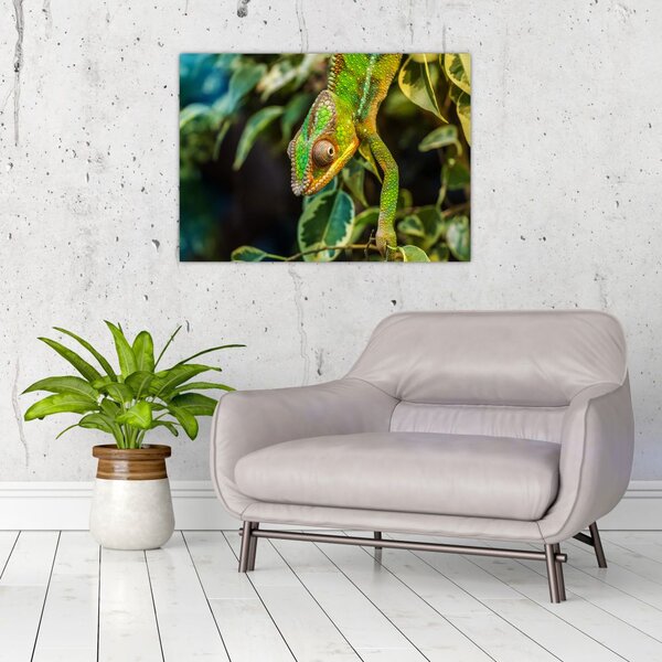 Tablou cu cameleon (70x50 cm)
