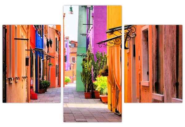 Tablou cu străduță colorata italiană (90x60 cm)