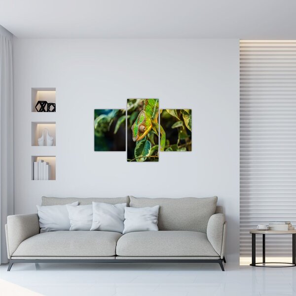 Tablou cu cameleon (90x60 cm)