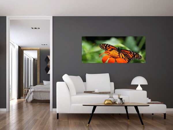 Tablou cu fluture pe floare (120x50 cm)
