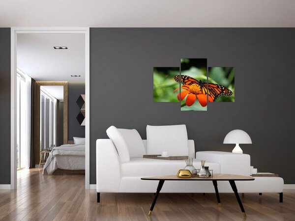 Tablou cu fluture pe floare (90x60 cm)