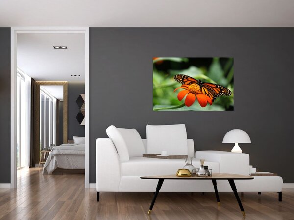 Tablou cu fluture pe floare (90x60 cm)