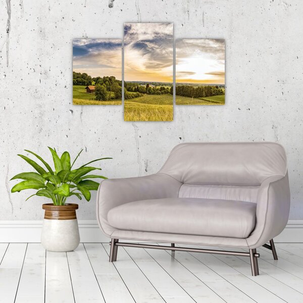 Tablou cu peisaj (90x60 cm)