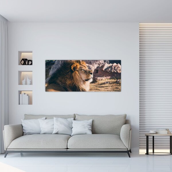 Tablou cu leul dormind (120x50 cm)