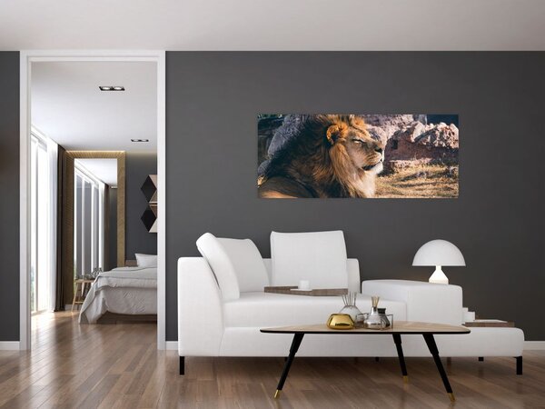 Tablou cu leul dormind (120x50 cm)