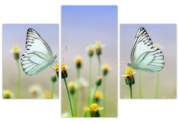 Tablou cu fluture pe floare (90x60 cm)