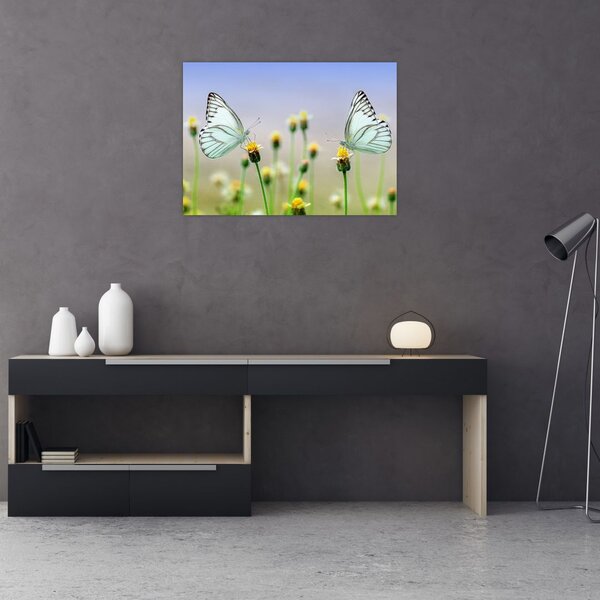 Tablou cu fluture pe floare (70x50 cm)