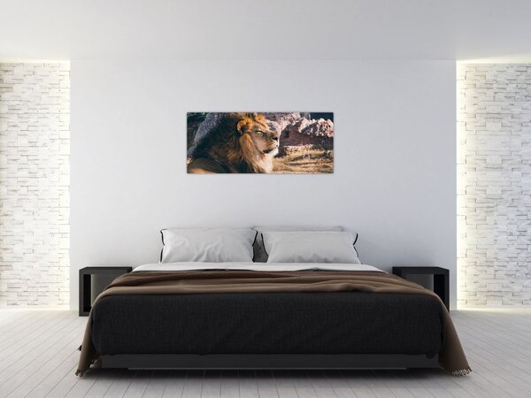 Tablou cu leul dormind (120x50 cm)