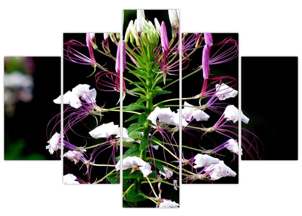 Tablou cu floare (150x105 cm)