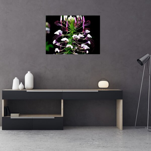Tablou cu floare (70x50 cm)
