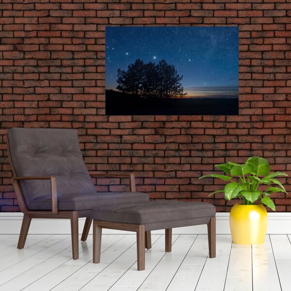 Tablou cu copaci noapte (90x60 cm)