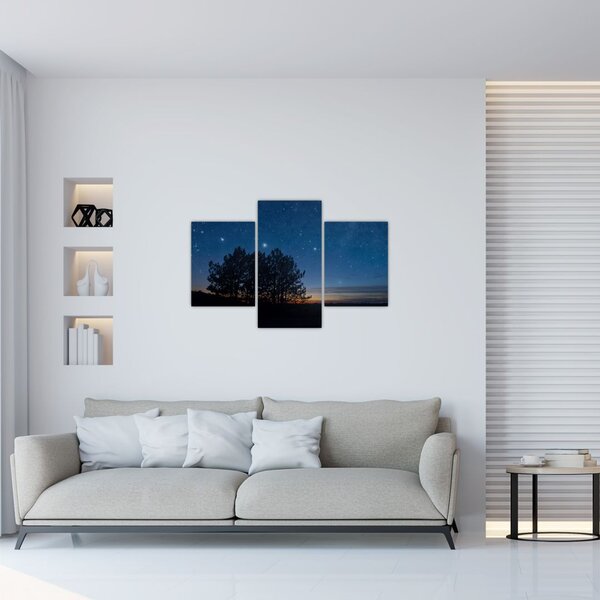 Tablou cu copaci noapte (90x60 cm)