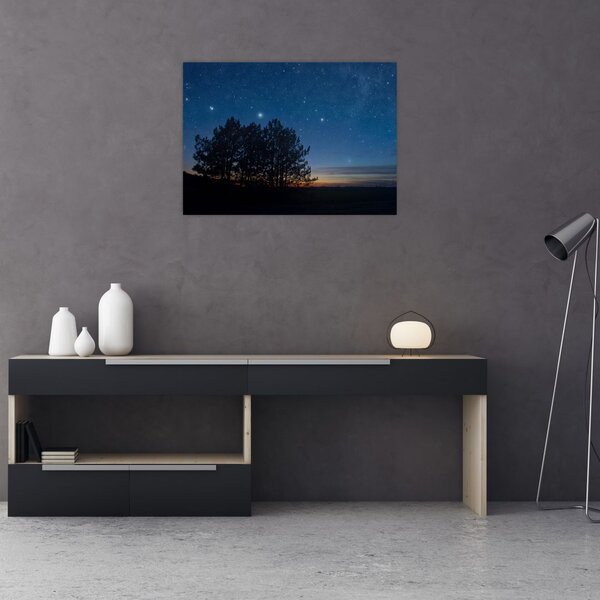 Tablou cu copaci noapte (70x50 cm)