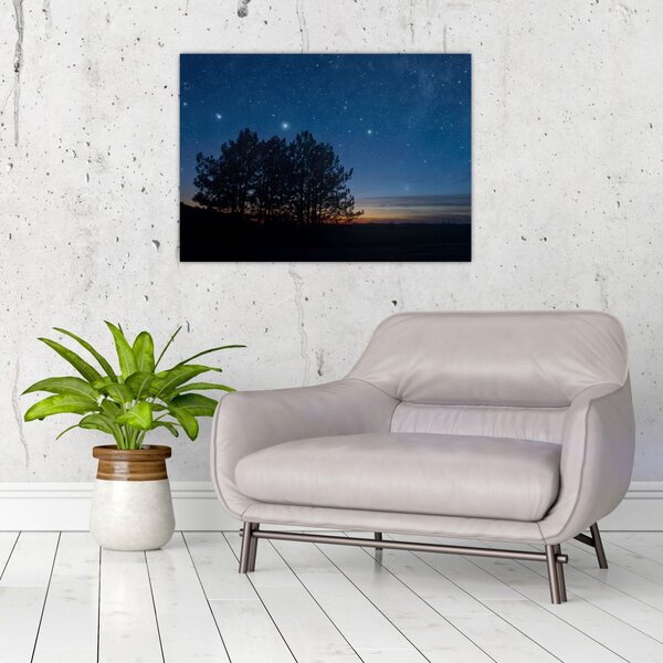 Tablou cu copaci noapte (70x50 cm)