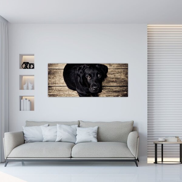 Tablou cu cățeluș negru (120x50 cm)