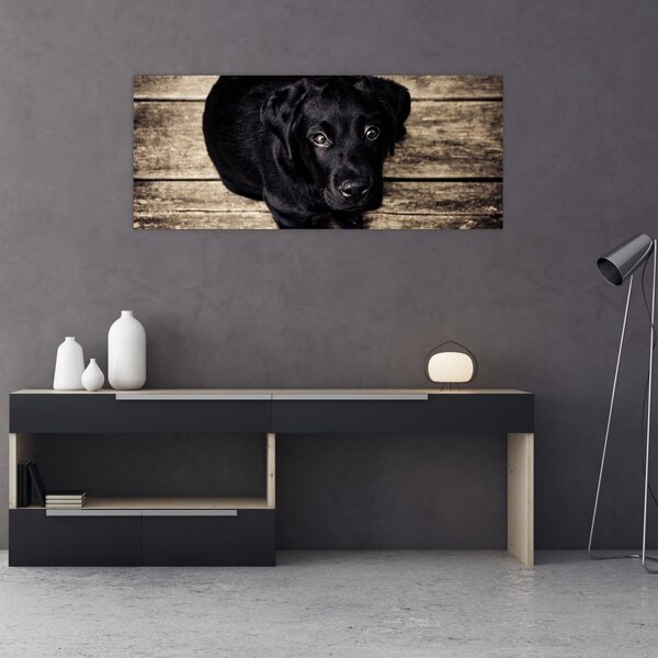 Tablou cu cățeluș negru (120x50 cm)