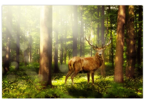 Tablou cu cerbul în pădure (90x60 cm)