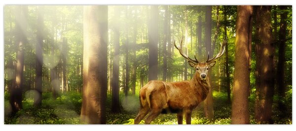 Tablou cu cerbul în pădure (120x50 cm)