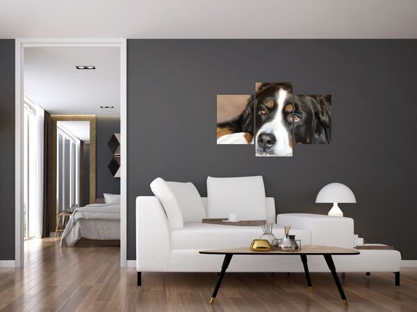 Tablou cu câine (90x60 cm)