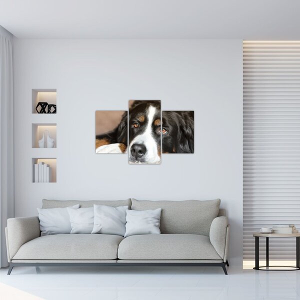 Tablou cu câine (90x60 cm)