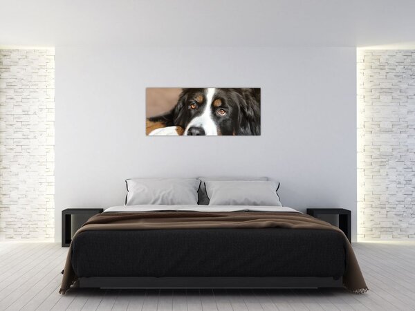 Tablou cu câine (120x50 cm)